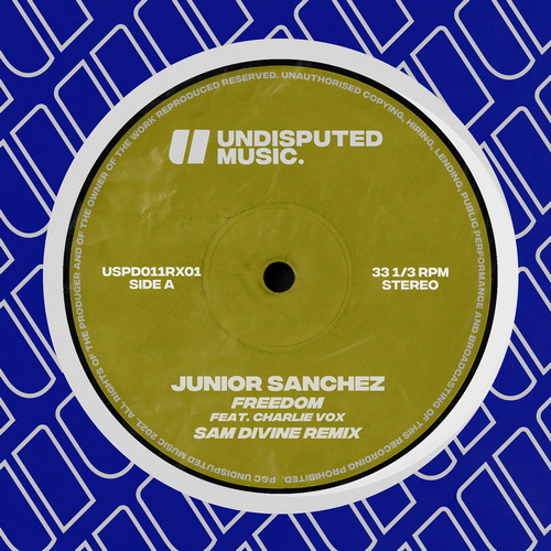 Junior Sanchez Feat. Charlie Vox - Freedom (Sam Divine Remix)
