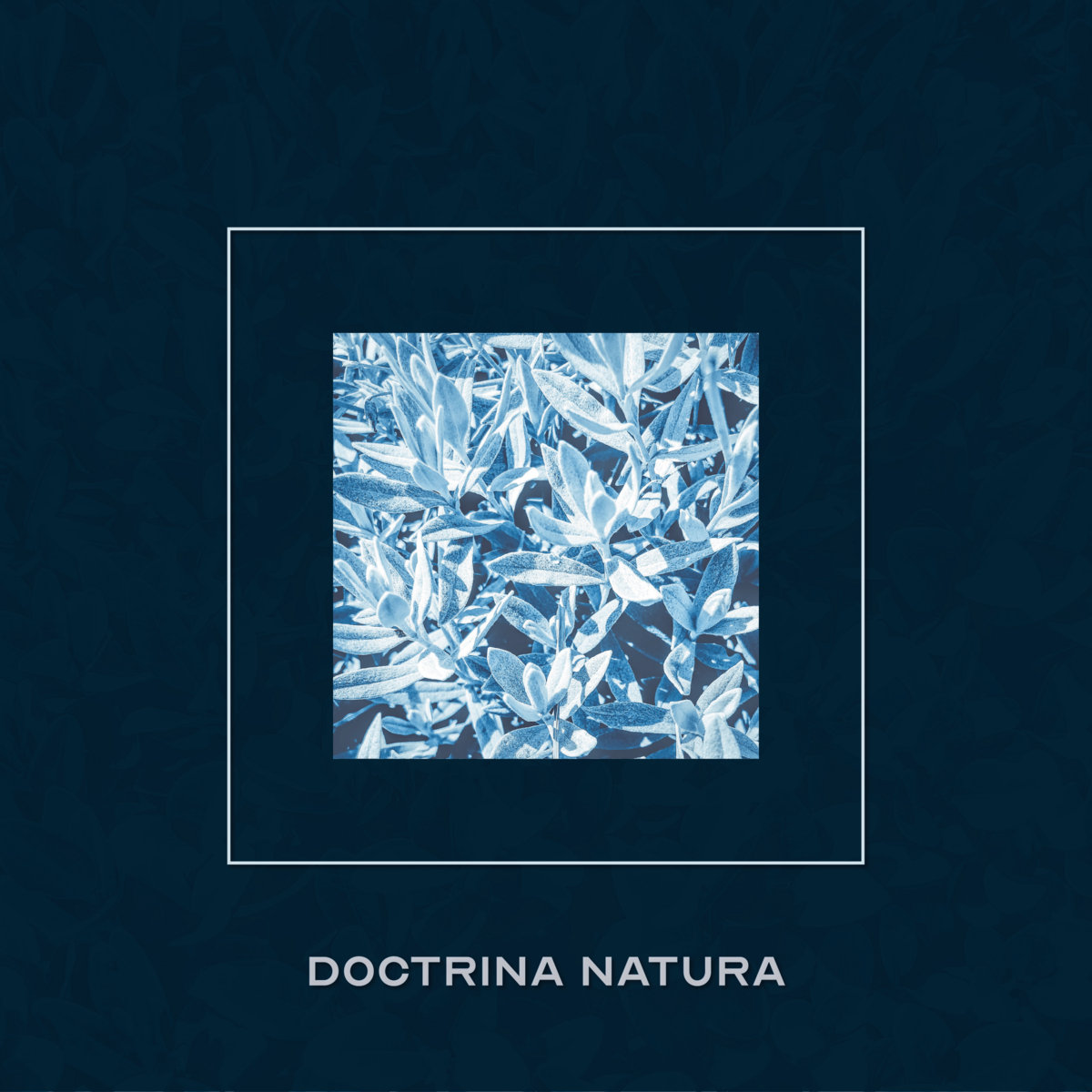 Doctrina Natura - Horned God