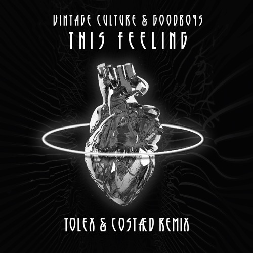 Vintage Culture, Goodboys - This Feeling (Tolex & Costaed Remix)