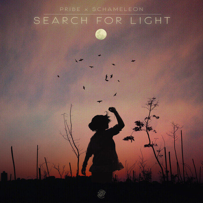 Pribe & Schameleon - Search For Light (Original Mix)