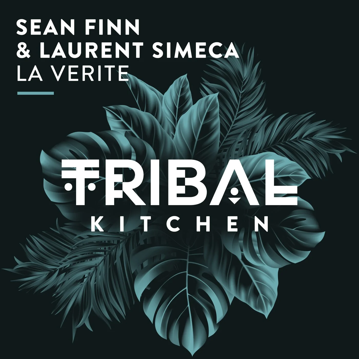 Sean Finn & Laurent Simeca - La Verite (Original Mix)