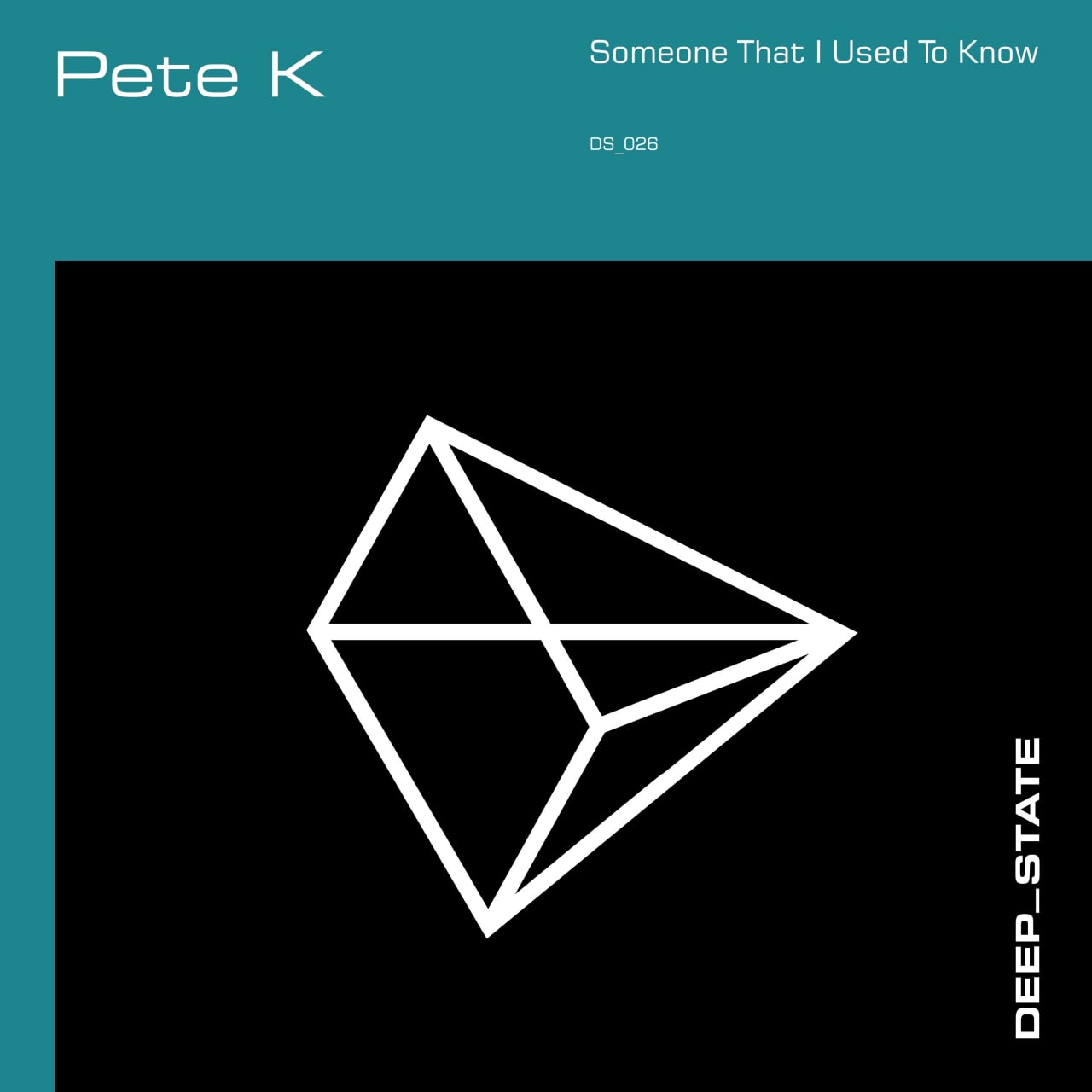 Pete K - Someone That I Used To Know (Extended Mix)