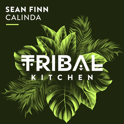 Sean Finn - Calinda (No Hopes Extended Remix)