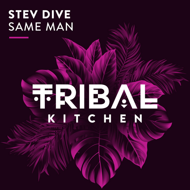 Stev Dive - Same Man (Extended Mix)