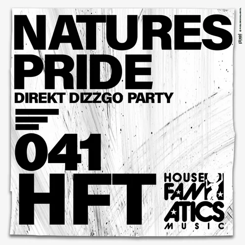 Natures Pride - Direkt Dizzgo Party (Original Mix)
