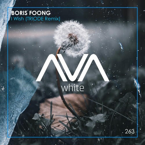 Boris Foong - I Wish (Triode Extended Remix)