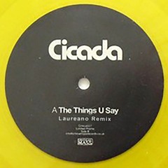 Cicada - The Things You Say (Laureano Remix)