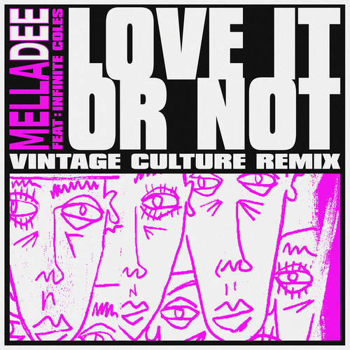 Mella Dee Feat. Infinite Coles - Love It or Not (Vintage Culture Extended Remix)