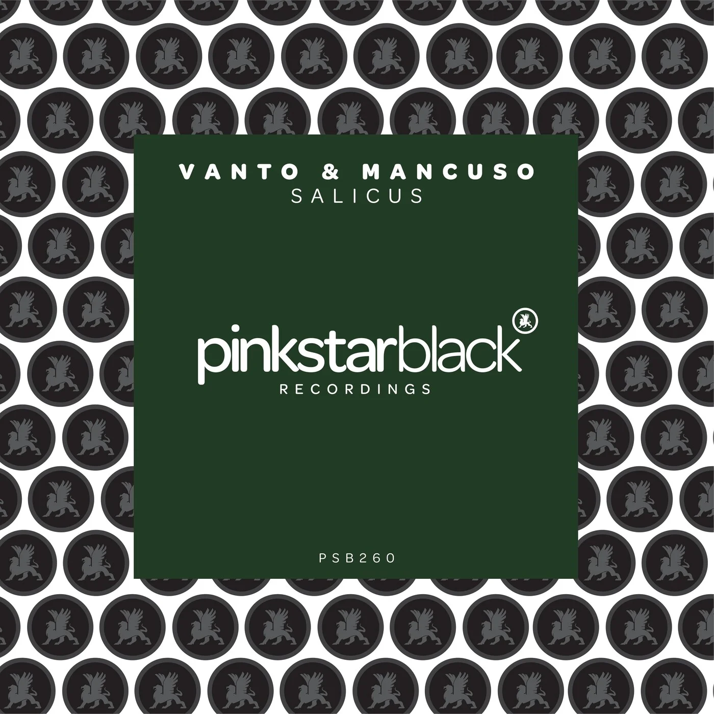 Vanto & Mancuso - Salicus (Extended Mix)