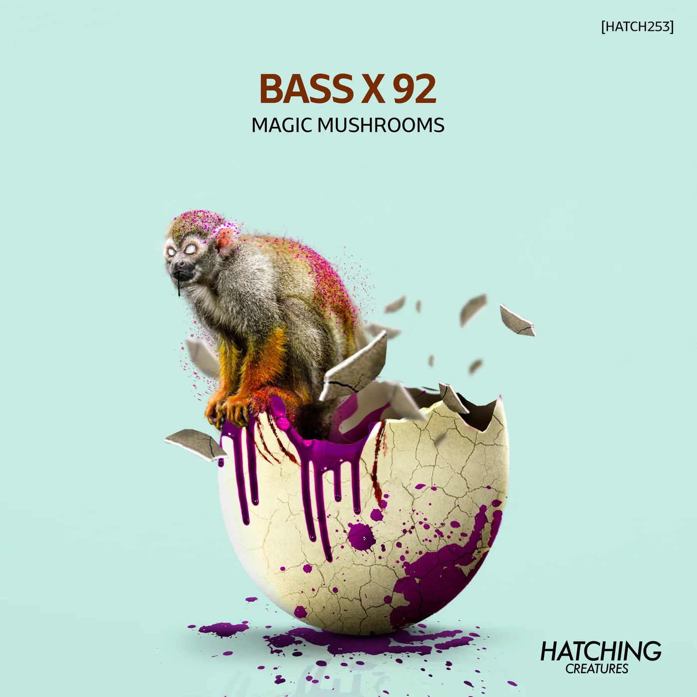 Bass X 92 - Magic Mushrooms (Original Mix)