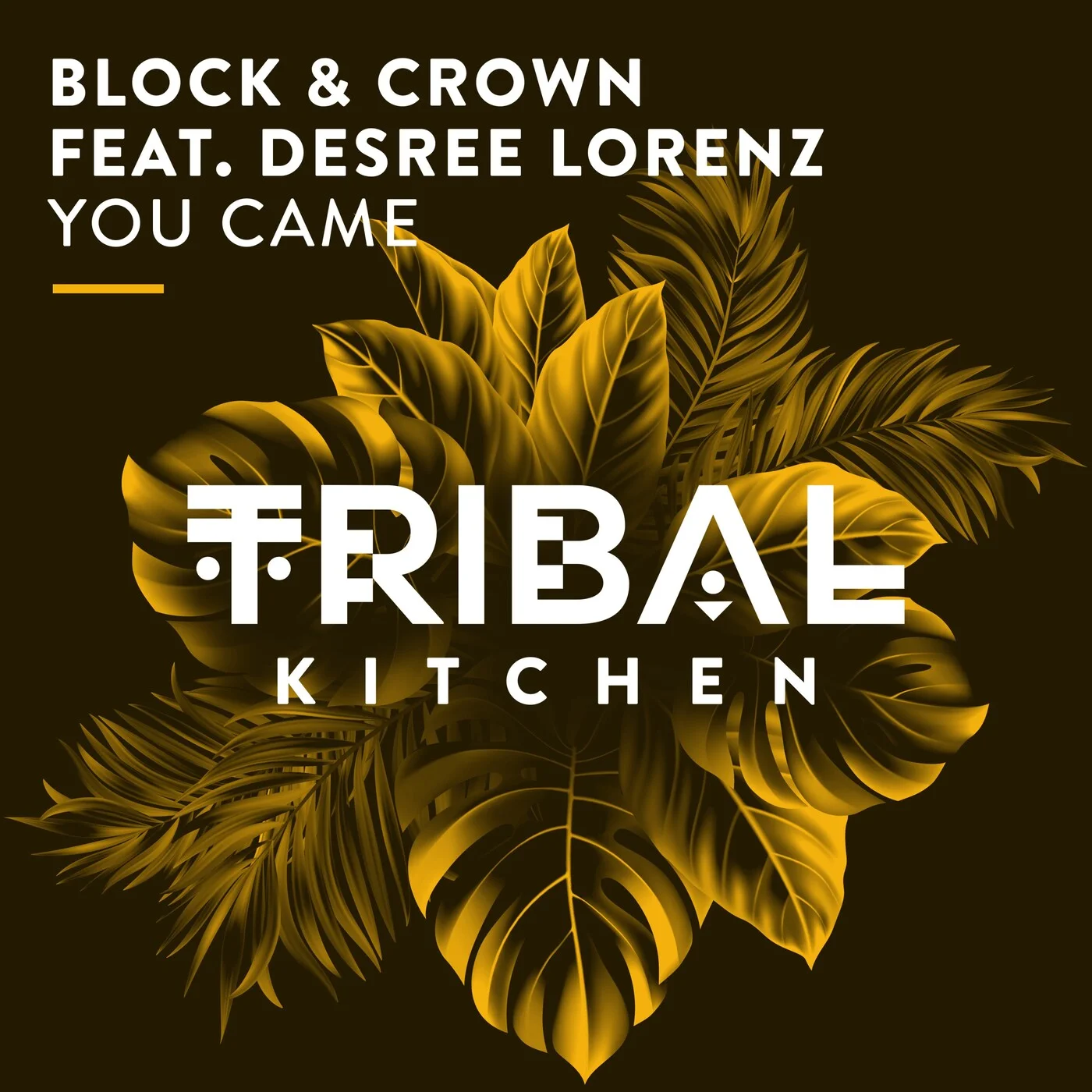 Block & Crown Desree Lorenz - You Came Feat. Desree Lorenz (Extended Mix)