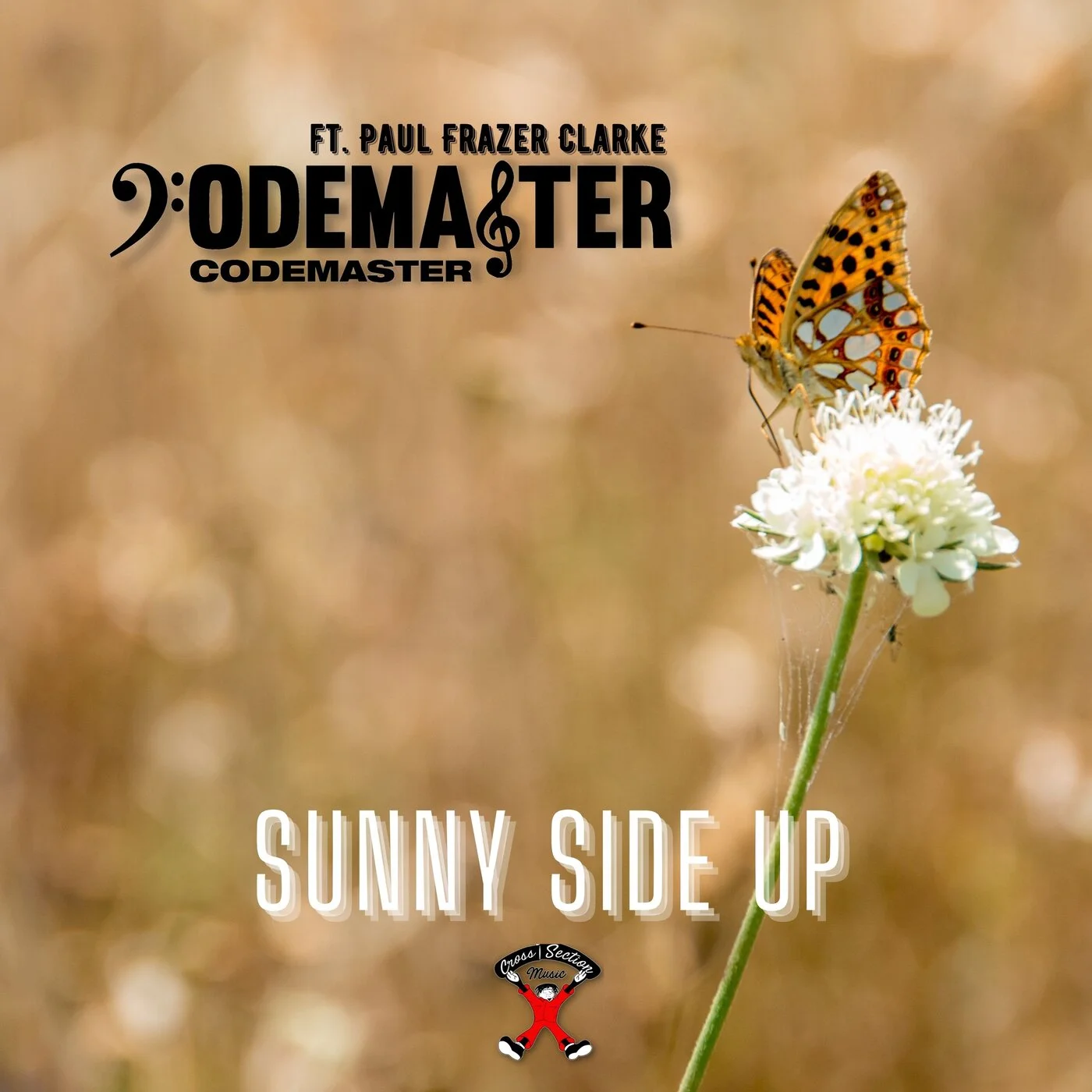 Paul Frazer Clarke Codemaster - Sunny Side Up (Original Mix)